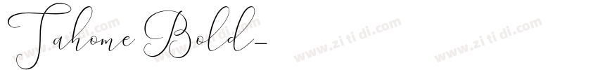 Tahome Bold字体转换